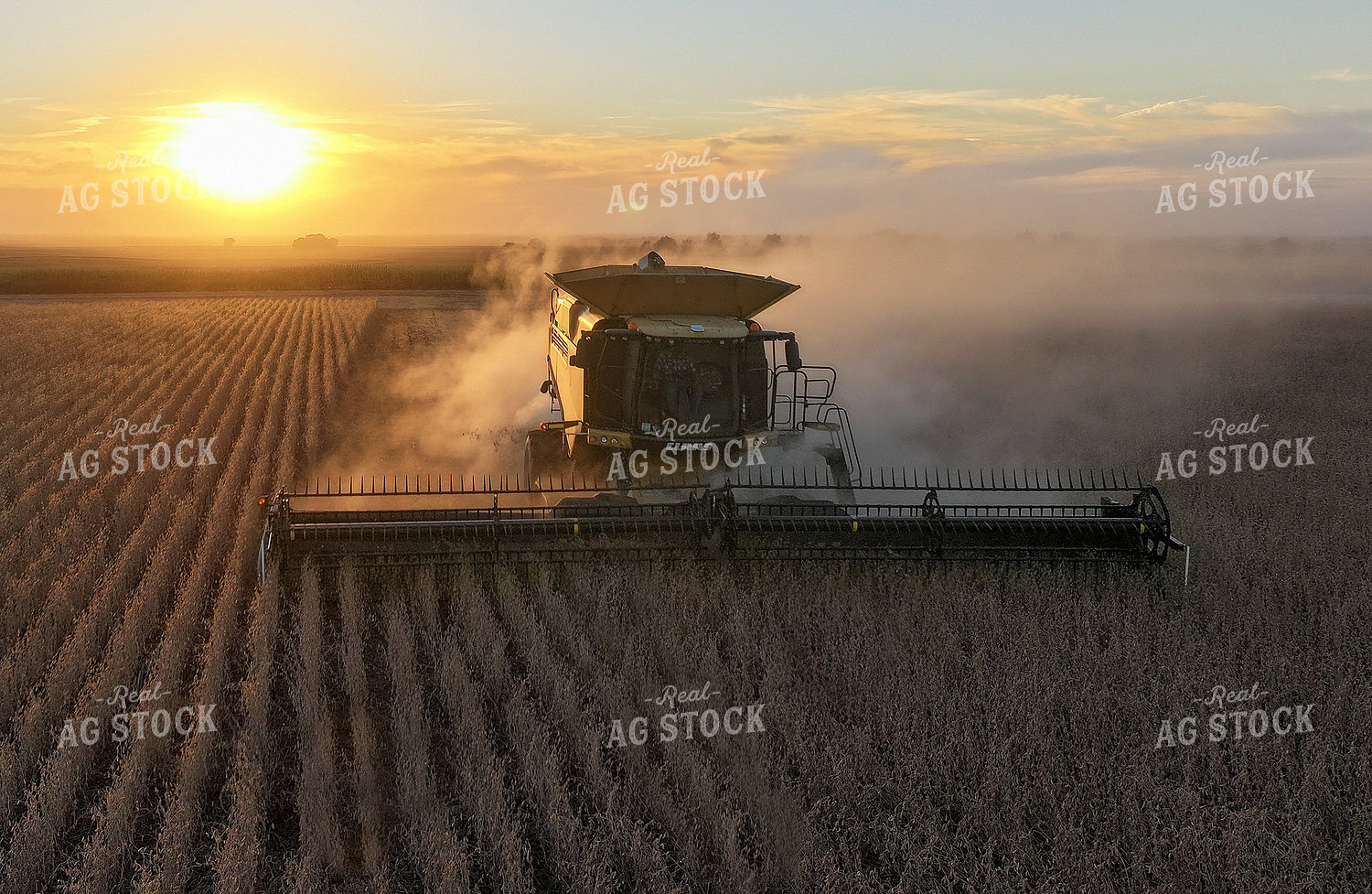 Soybean Harvest 141419