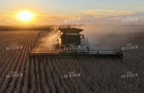 Soybean Harvest 141419