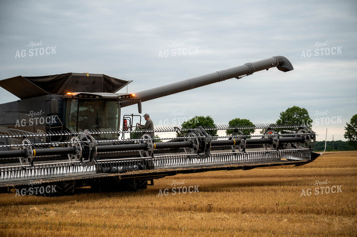 Wheat Harvest 115974
