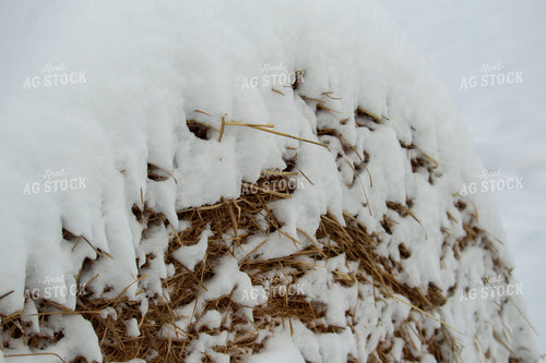 Snow Covered Round Hay Bale 52068