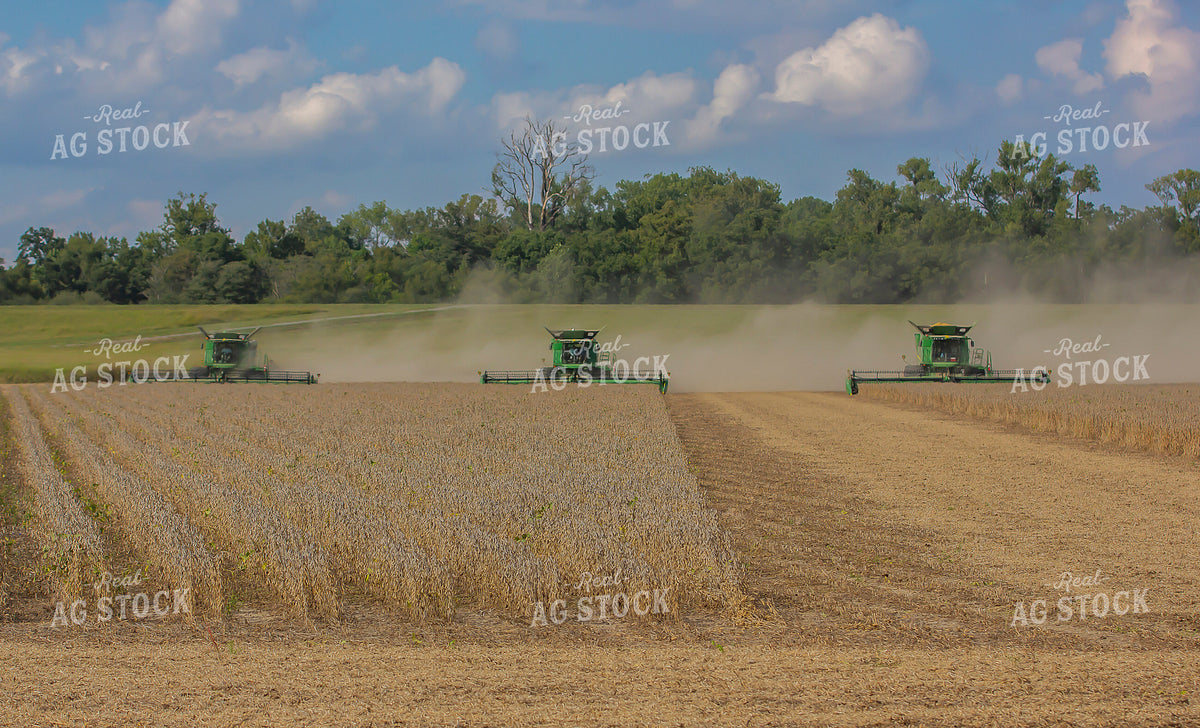Soybean Harvest 291130