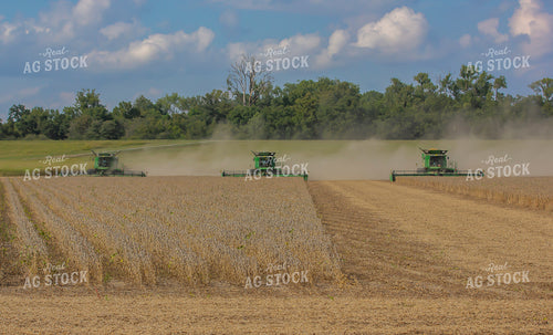 Soybean Harvest 291130