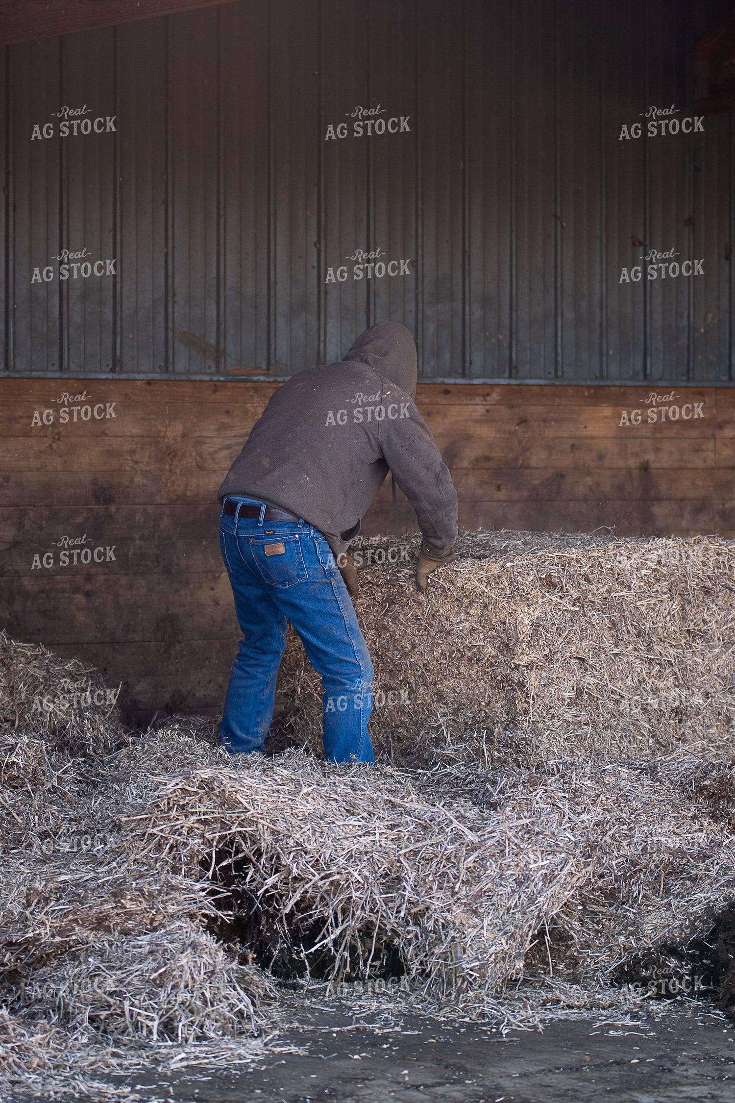 Farmer Preparing Bedding 50469