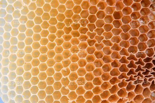 Honeycomb 161051