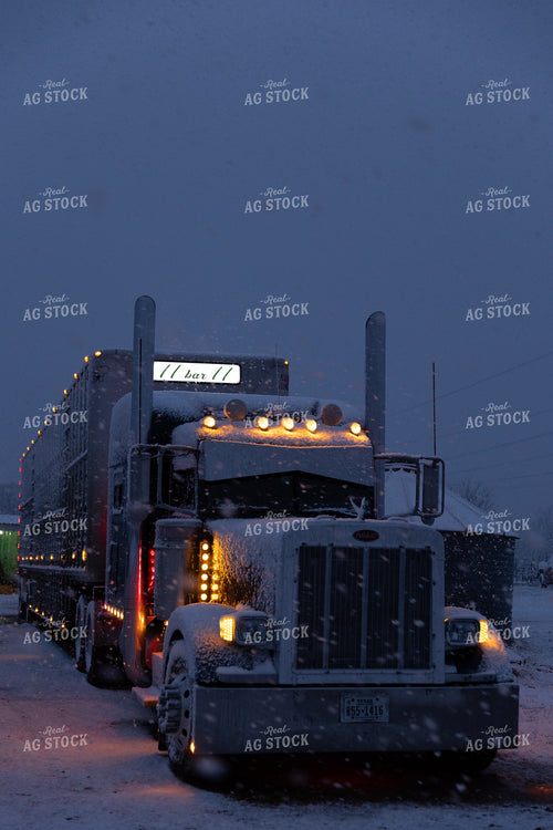 Snow Covered Semi Trailer 205054