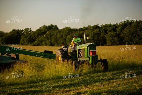 Cutting Hay 4955