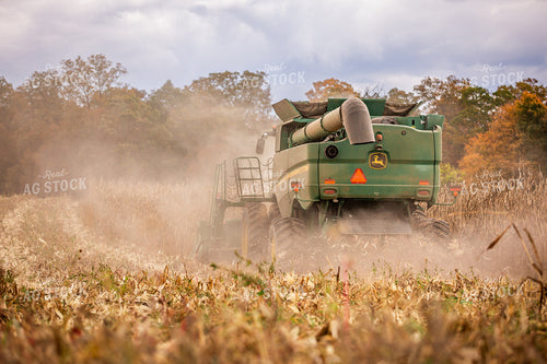 Corn Harvest 270644