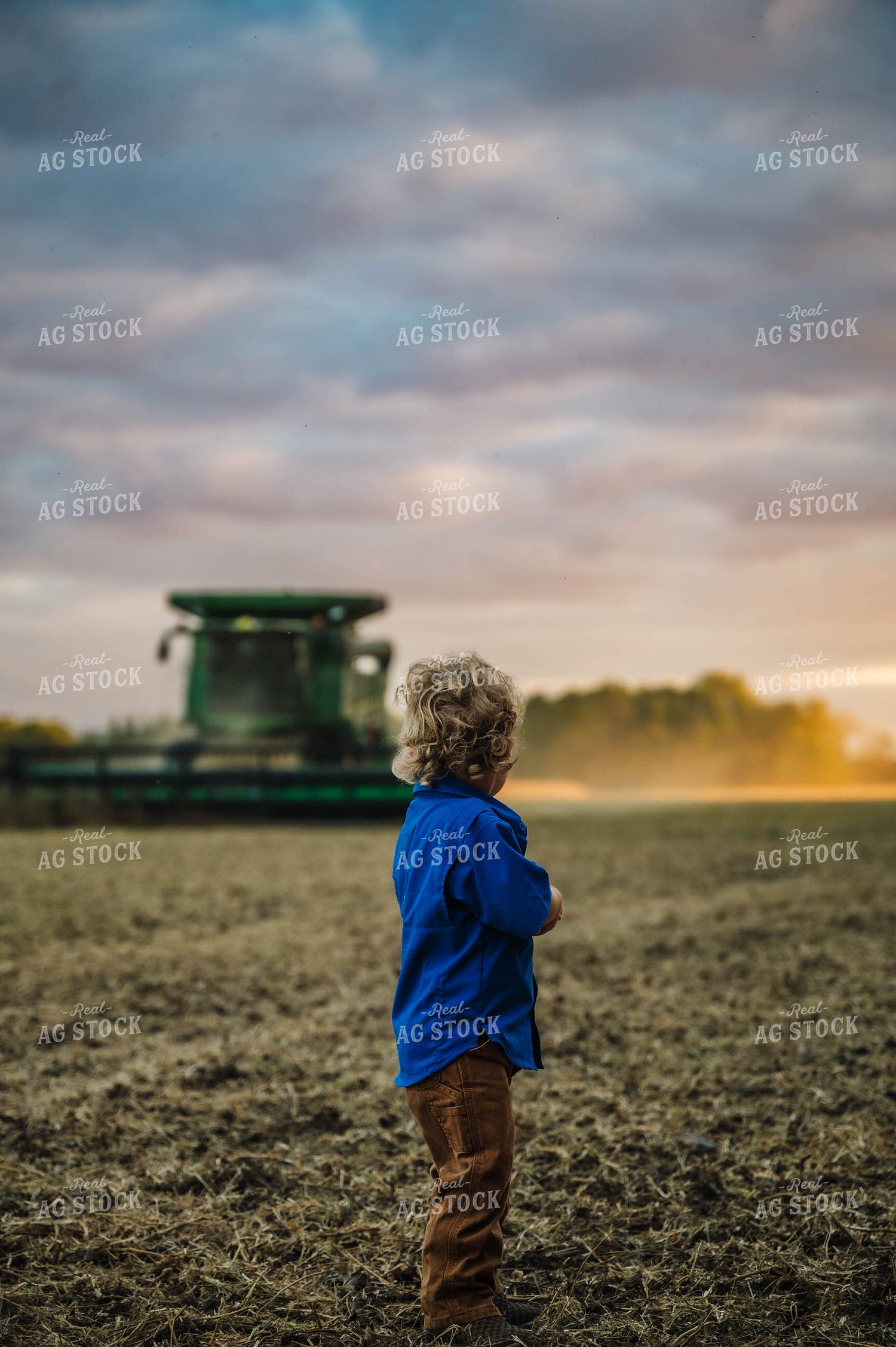 Farm Kid in the Field 115352