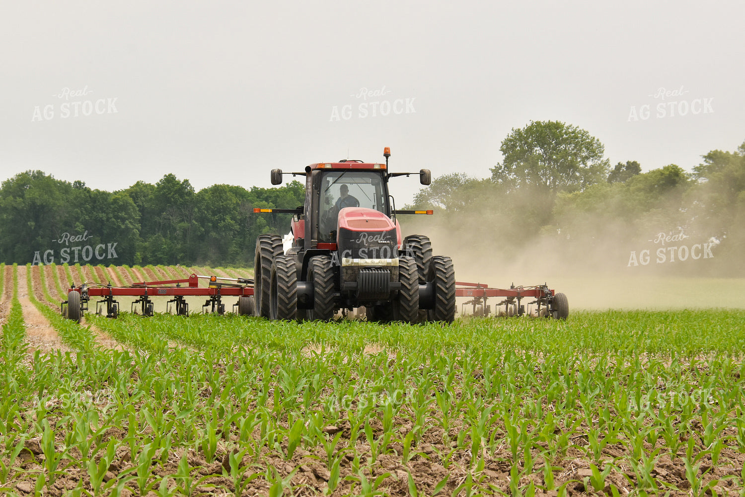 Applying Anhydrous Ammonia 84195