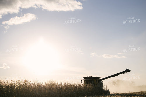 Nebraska Corn Harvest 70027