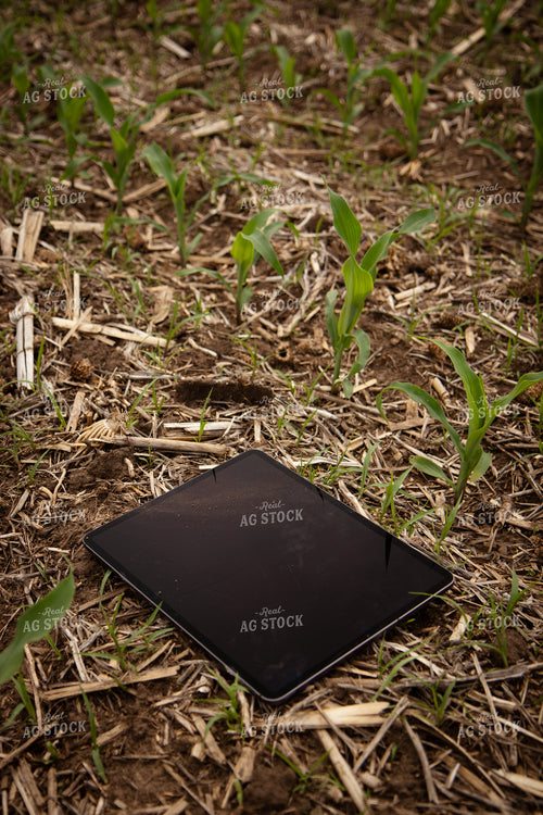 Tablet in Field 67757