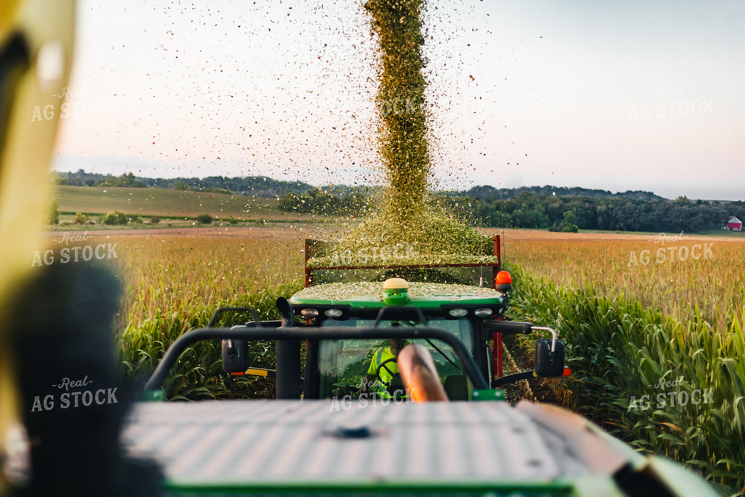 Corn Silage Harvest 272058