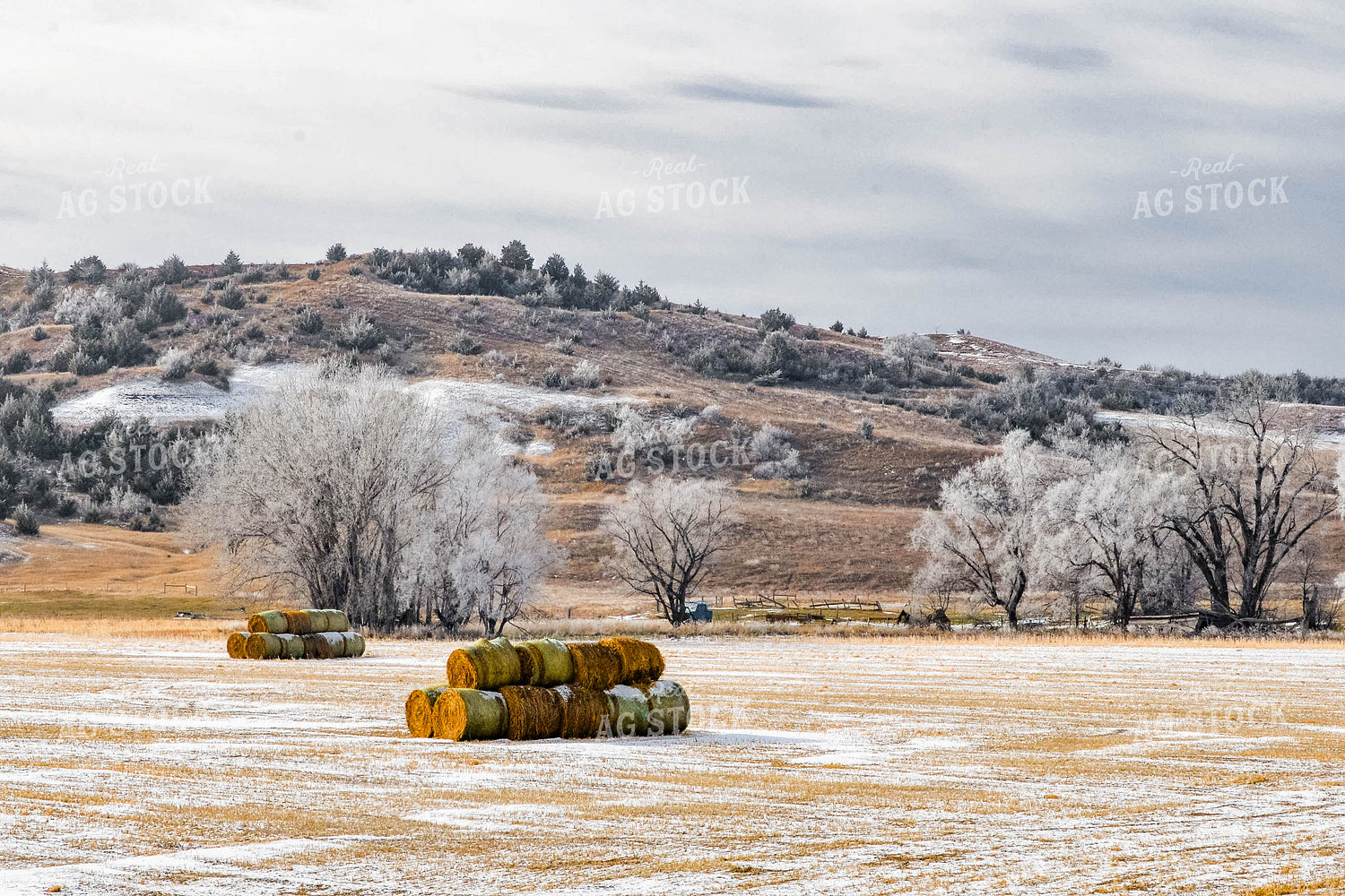 Snowy Rural Landscape 299189