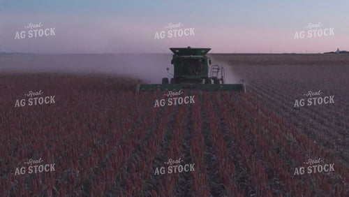 Milo Harvest 239058