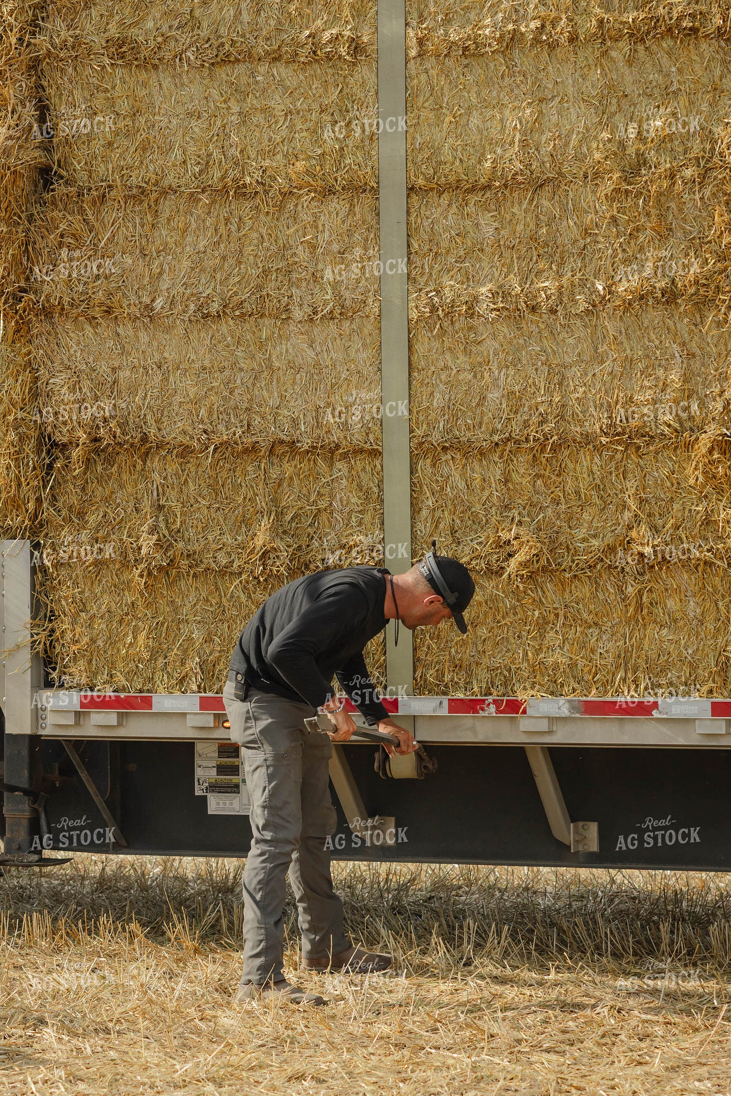 Farmer Securing Straw Bales 296083