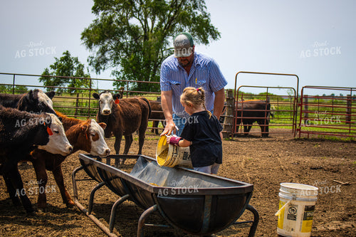 Farmer and Farm Kid Feeding Cattle 214153