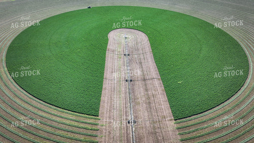 Aerial View of Hay Field 56397