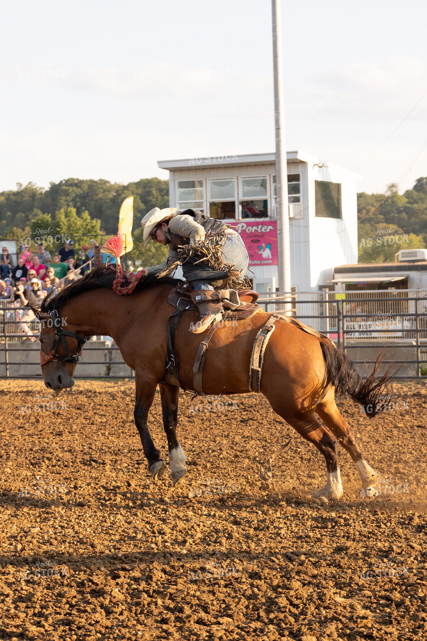 Rodeo 295137
