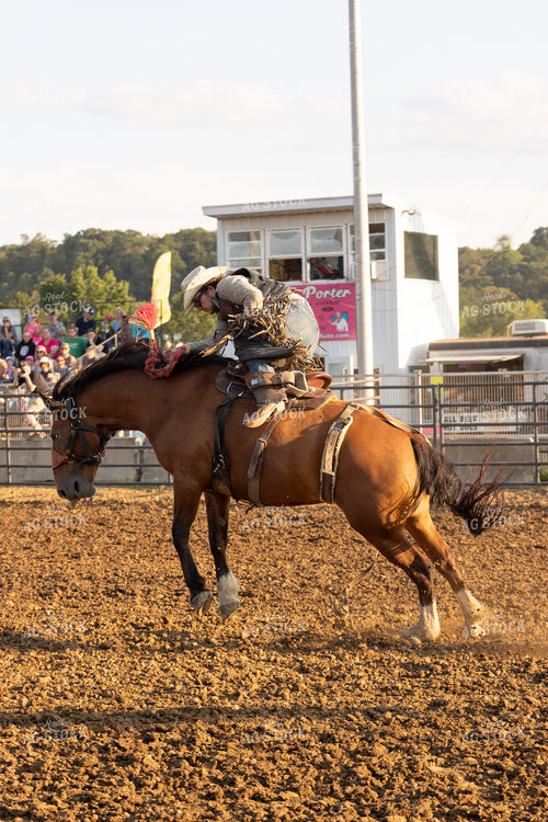 Rodeo 295137