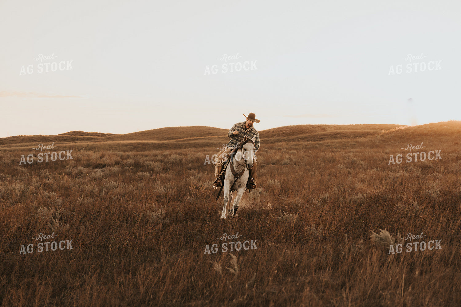 Cowboy Riding Horse 61204