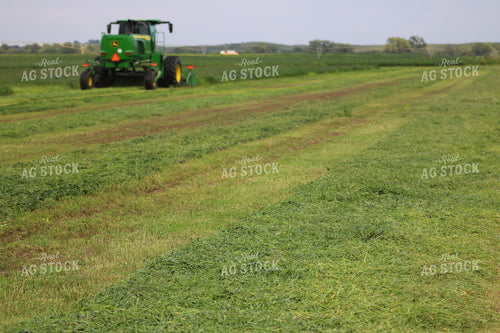 Cutting Hay 82286