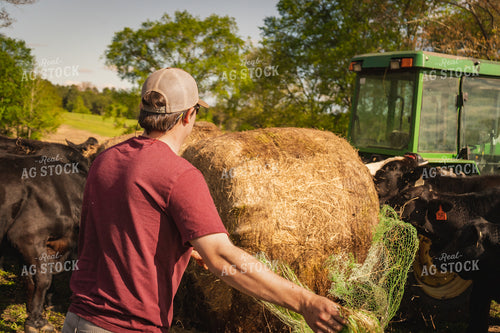 Farmer Unwrapping Hay Bales 128017