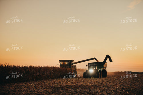 Combine and Auger Cart Harvesting Corn Field 5250