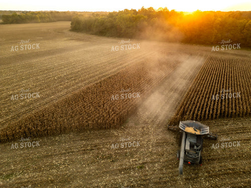 Aerial of Corn Harvest 115564