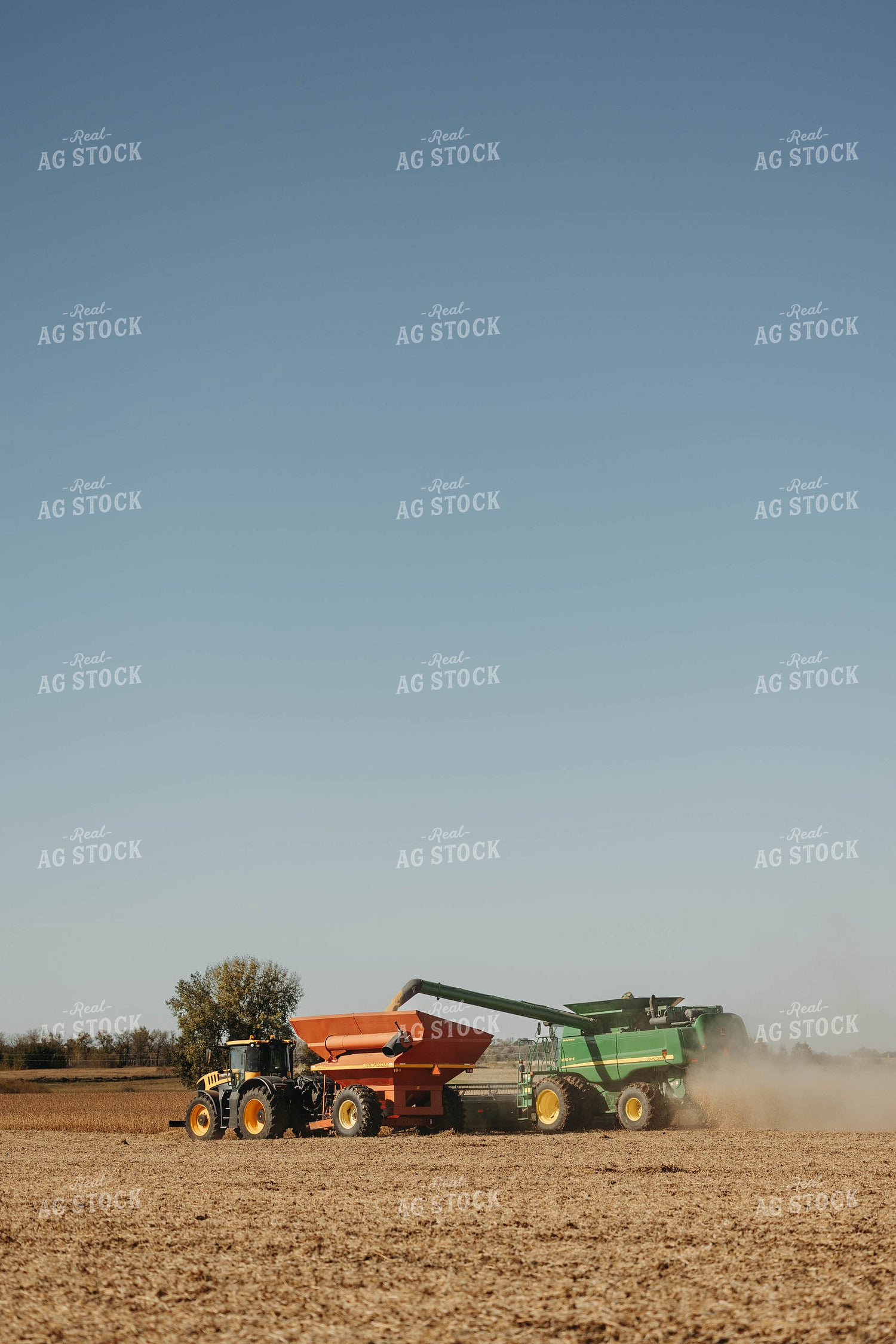 Soybean Harvest 152880