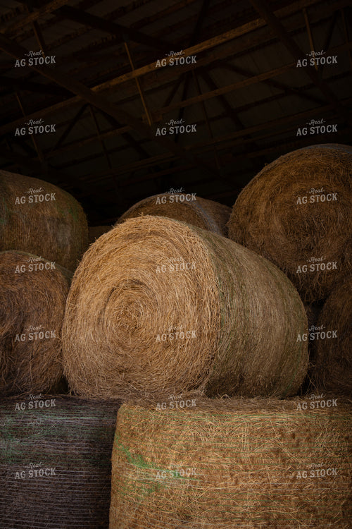 Hay Bales 268159