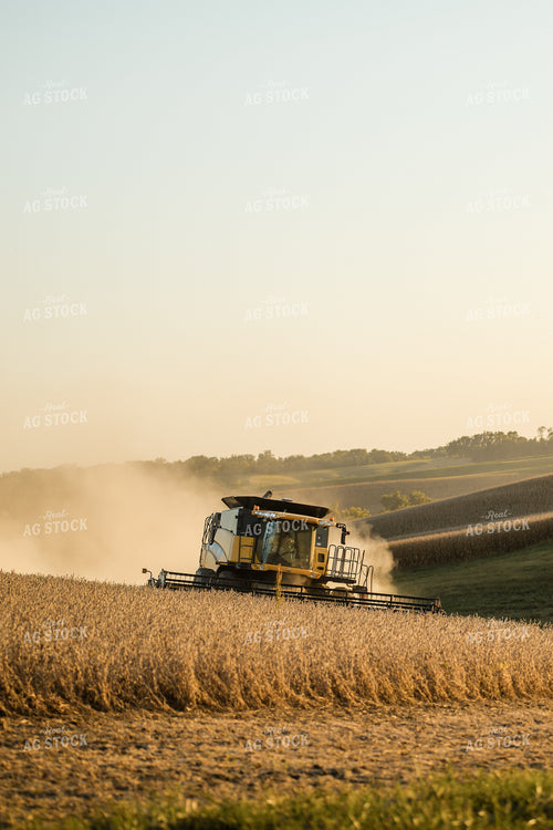 Soybean Harvest 215132