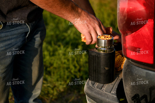 Farmer Checking Corn Moisture 191262