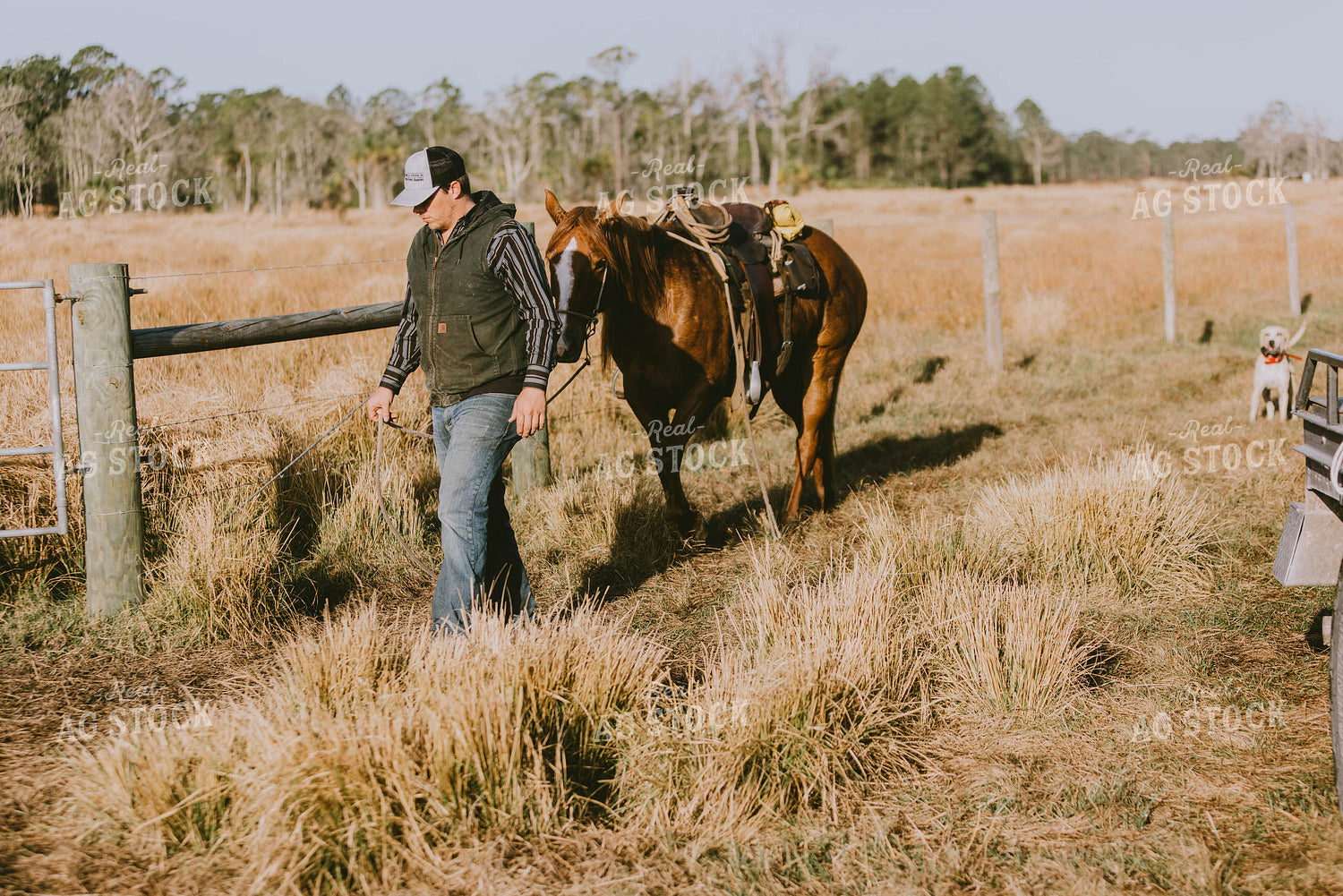 Rancher and Horse 7302