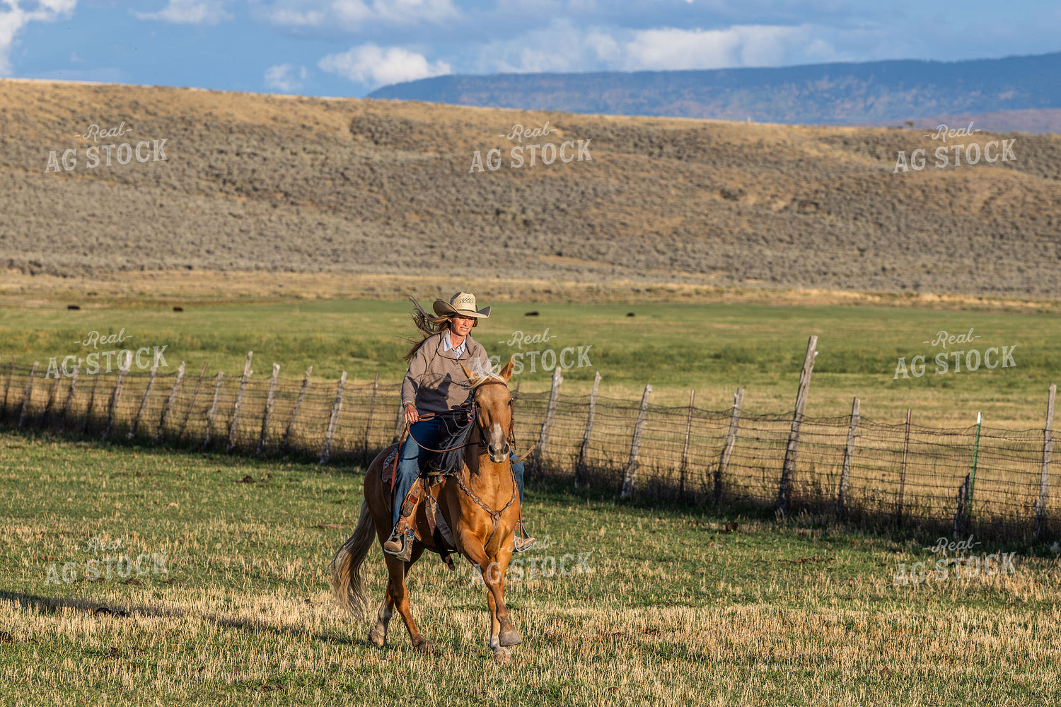 Cowgirl on Horseback 290014