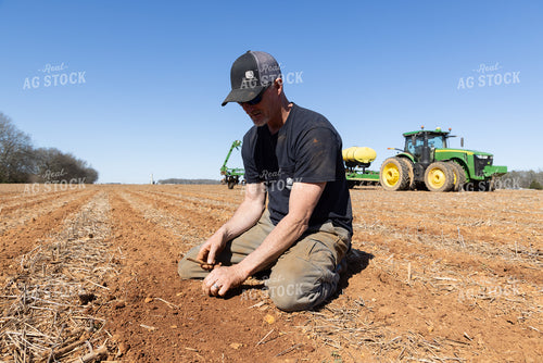 Farmer Checking Seed Depth 79770