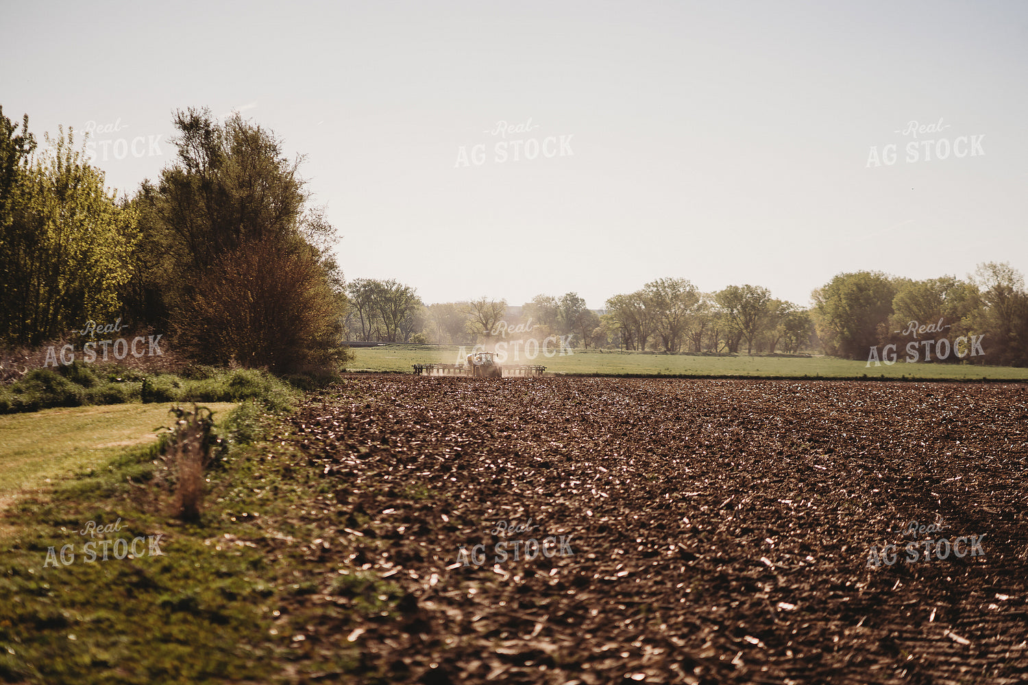 Planting 196142