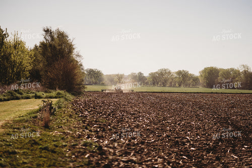 Planting 196142