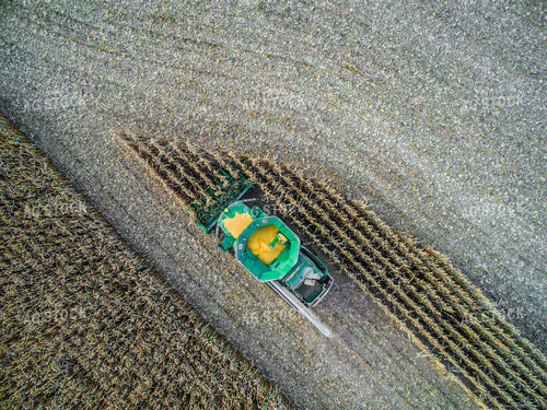 Overhead of Corn Harvest 250111