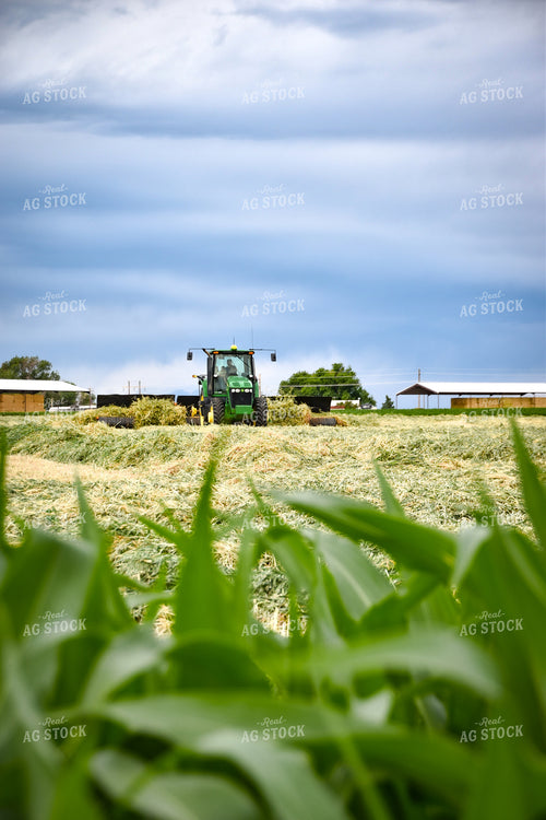 Tractor with Merger in Hay Field 56427