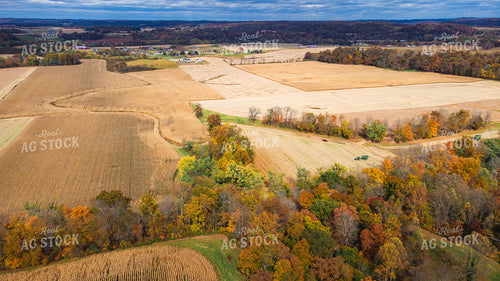Aerial of Corn Harvest 52642