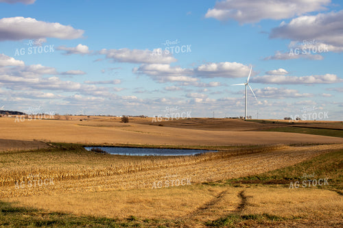 Farm Pond with Corn and Soybean Fields 67047