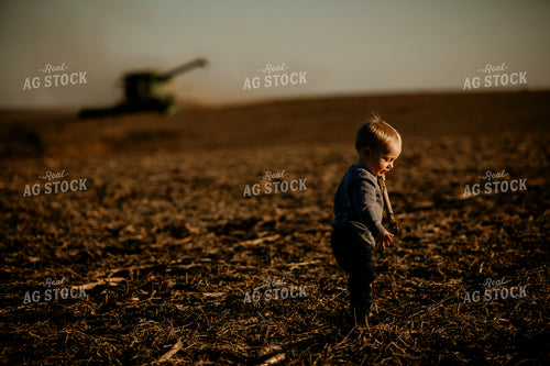 Harvest 2567