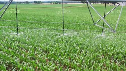 Pivot Irrigation System 79459