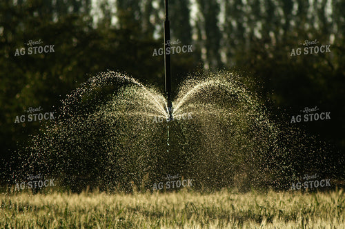 Irrigation Line Running 146020