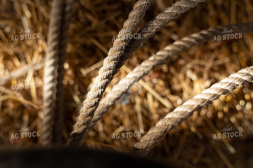 Rope Close Up 52398