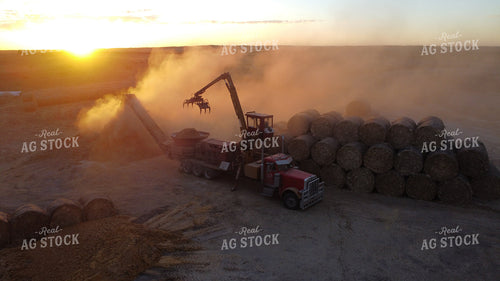 Grinding Feed at Sunset 223014