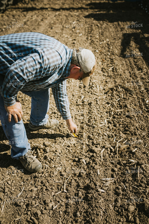 Farmer Checking Seed Depth 4280