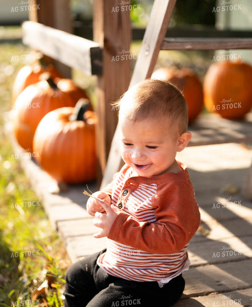 Farm Kid with Pumpkins 185037