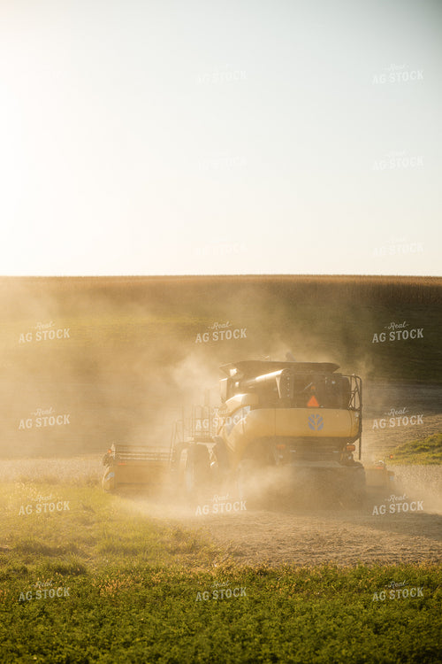 Soybean Harvest 215116