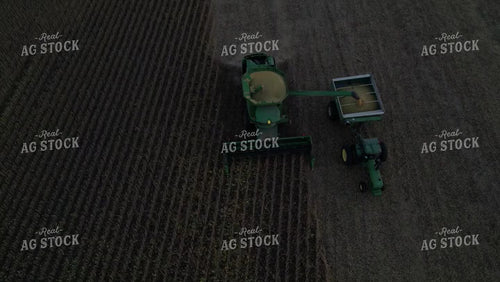 Soybean Harvest 115195